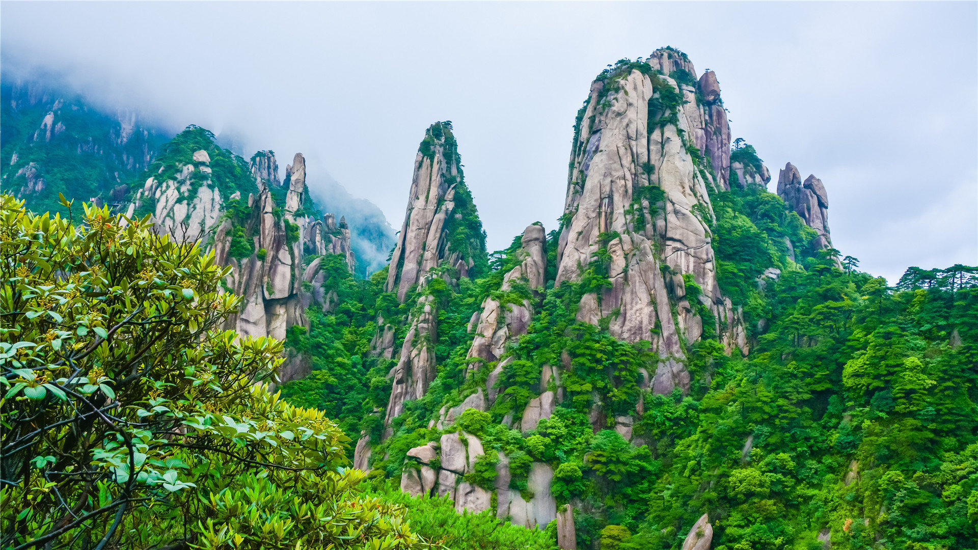 刷王者荣耀(小样)-平台,小林赞刷网,秒单业务平台-空间底赞刷